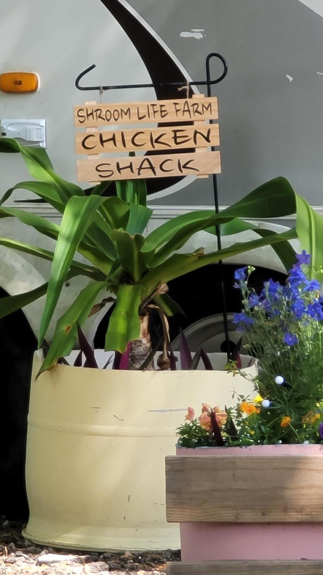 Shroom Life Farm Chicken Shack Норт-Форт-Маєрс Екстер'єр фото